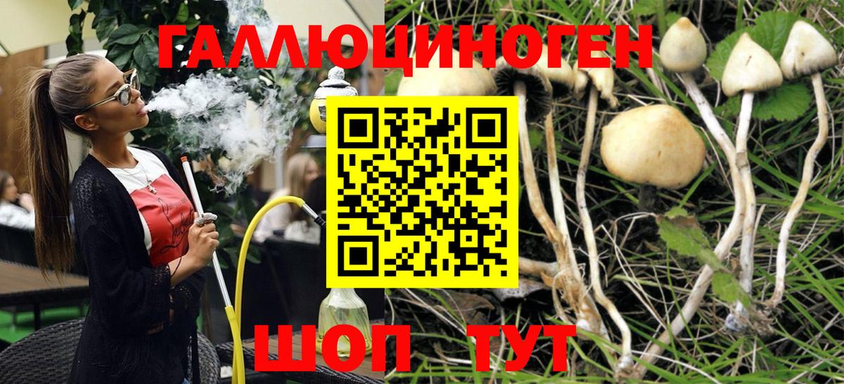 как найти наркотики  Вход с VPN  Котельники  Галлюциногенные грибы прущие грибы 